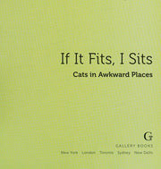 If It Fits, I Sits: Cats in Awkward Places
