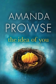 The Idea of You