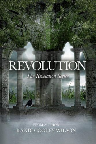 Revolution: Volume 4 (The Revelation Series)