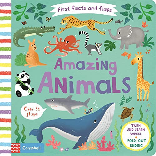 Amazing Animals (First Facts and Flaps, 1)