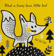 Funny Faces: A look and laugh mirror board book (First Baby Days)