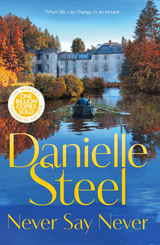 Never Say Never: Escape to the French countryside with this powerful tale of new beginnings