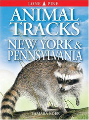 Animal Tracks of New York and Pennsylvania: 20