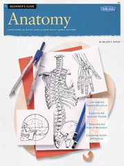 Anatomy: No. 21 (How to Draw and Paint)