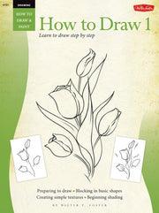 Drawing: How to Draw 1: Learn to draw step by step (How to Draw and Paint/Art Instruction Program)