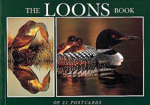 Loons