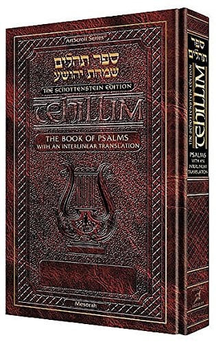 Book of Psalms With an Interlinear Translation: General Use Bible ; Psalms Maroon Binding, White Edging, Schottenstein Edition (Artscroll (Mesorah Series))