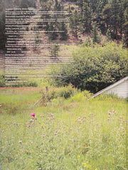 Wilder Life: A Season-by-Season Guide to Getting in Touch with Nature, A