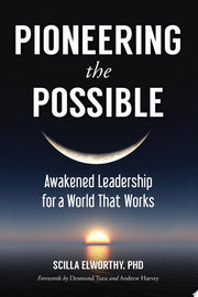 Pioneering the Possible: Awakened Leadership for a World That Works: 7 (Sacred Activism)