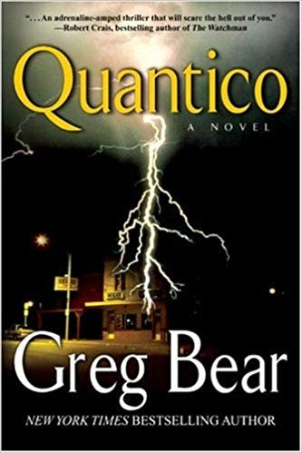 Quantico: A Novel