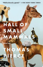 Hall of Small Mammals: Stories