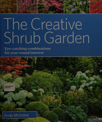 Creative Shrub Garden Eye-Catching Combinations for Year Round Interest