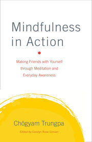 Mindfulness In Action: Making Friends with Yourself through Meditation and Everyday Awareness