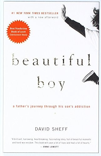 Beautiful Boy: A Father's Journey Through His Son's Addiction