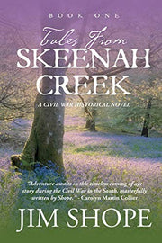 Tales From Skeenah Creek: A Civil War Historical Fiction Novel: 1