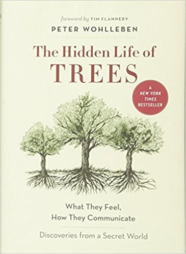 The Hidden Life of Trees: What They Feel, How They Communicate?Discoveries from A Secret World: 1 (The Mysteries of Nature, 1)
