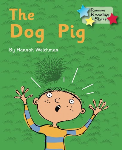The Dog Pig: Phonics Phase 2 (Reading Stars)