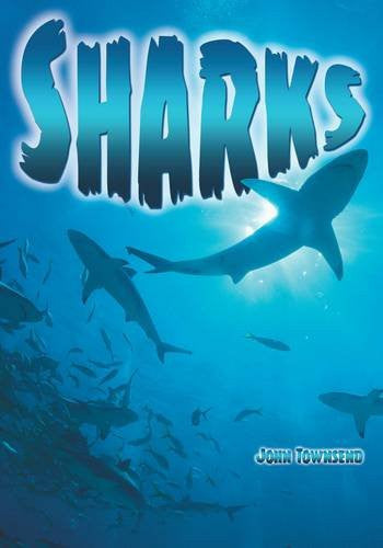Sharks (Wow! Facts (B))