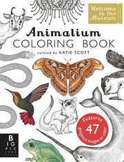 Animalium Colouring Book: by Kate Baker and illustrator Katie Scott (Welcome To The Museum)