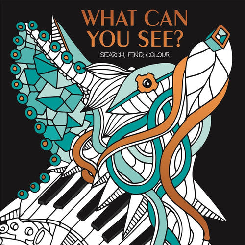What Can You See?: Hidden picture puzzles to decode and colour. (Activity (Children's))