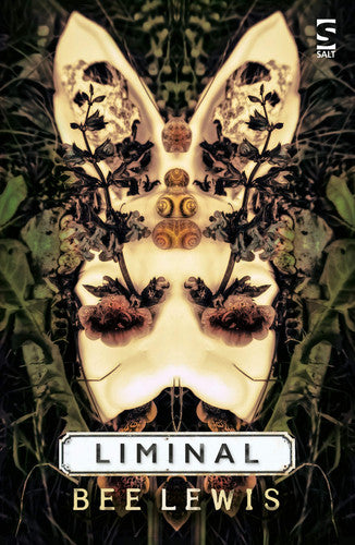 Liminal (Salt Modern Fiction)