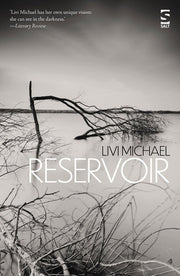 Reservoir (Salt Modern Fiction): Memory, trauma, and childhood violence, haunt this novel of unspoken pasts