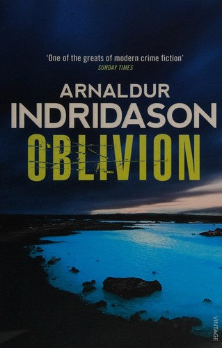 Oblivion: 11 (Reykjavik Murder Mysteries, 11)