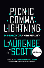 Picnic Comma Lightning: In Search of a New Reality