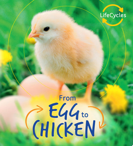 Lifecycles: Egg to Chicken: 1