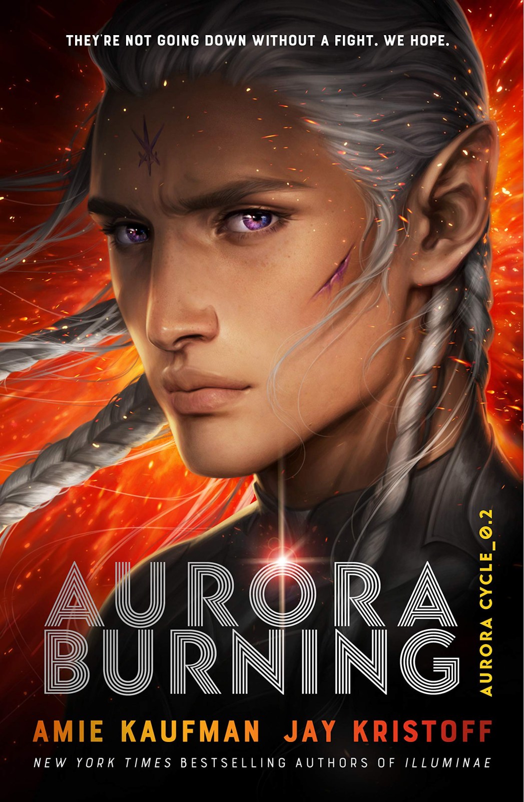 Aurora Burning: (The Aurora Cycle)