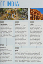 Insight Guides Pocket India (Travel Guide with Free eBook)