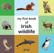 My First Book of Irish Wildlife (First Steps)