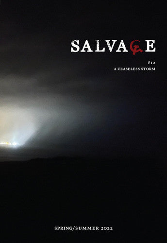 Salvage #12: A Ceaseless Storm