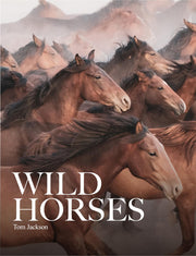 Wild Horses (Animals in Photographs)
