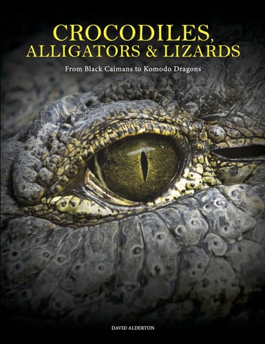 Crocodiles, Alligators & Lizards (Animals): From Black Caimans to Komodo Dragons (Animals in Photographs)