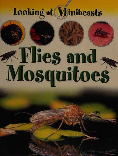 MINIBEASTS FLIES & MOSQUITOES