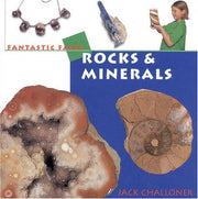 Rocks and Minerals (Fantastic Facts S.)
