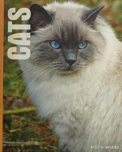 Cats
