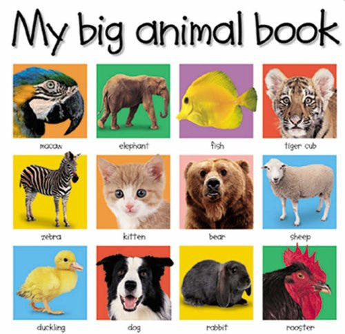 My Big Book of Animals