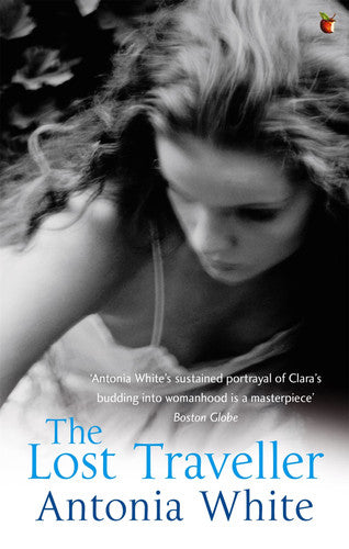 The Lost Traveller (Virago Modern Classics)