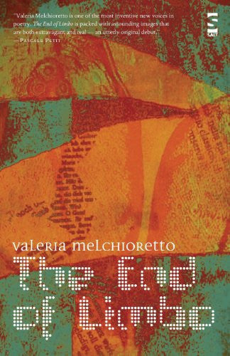 The End of Limbo (Salt Modern Poets)