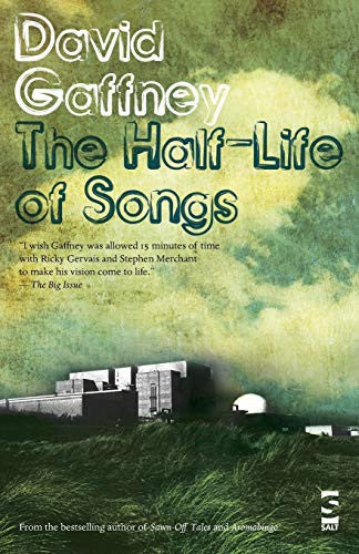 The Half-Life of Songs (Salt Modern Fiction)