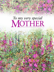 To my very special Mother