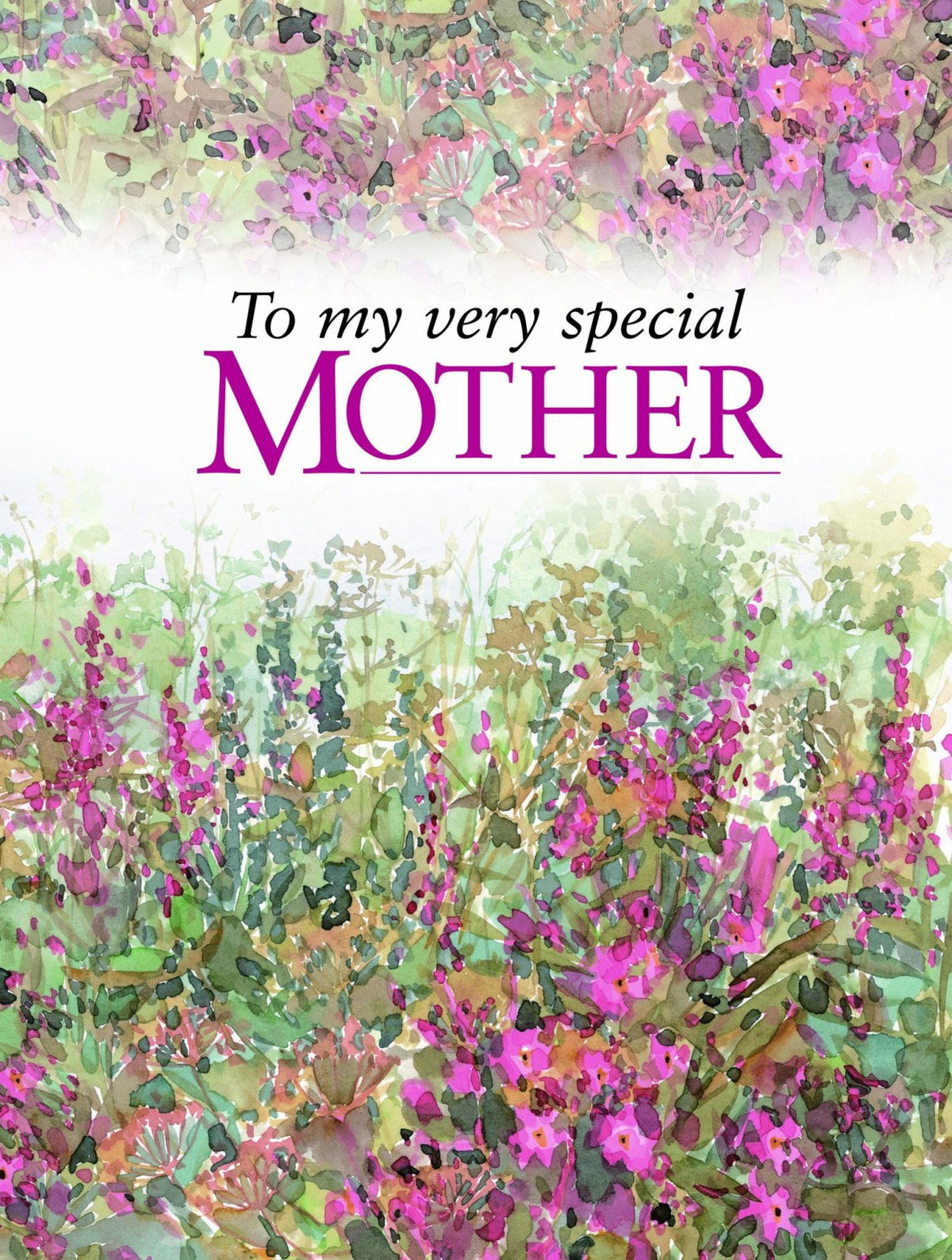 To my very special Mother