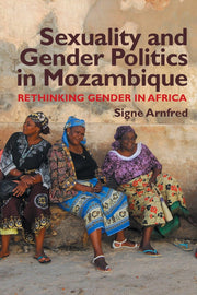 Sexuality and Gender Politics in Mozambique: Re-thinking Gender in Africa