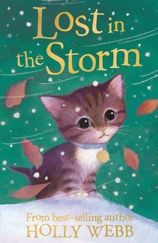 Lost in the Storm: 3 (Holly Webb Animal Stories, 3)