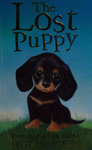 The Lost Puppy: 20 (Holly Webb Animal Stories, 20)