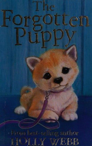 The Forgotten Puppy: 29 (Holly Webb Animal Stories, 29)