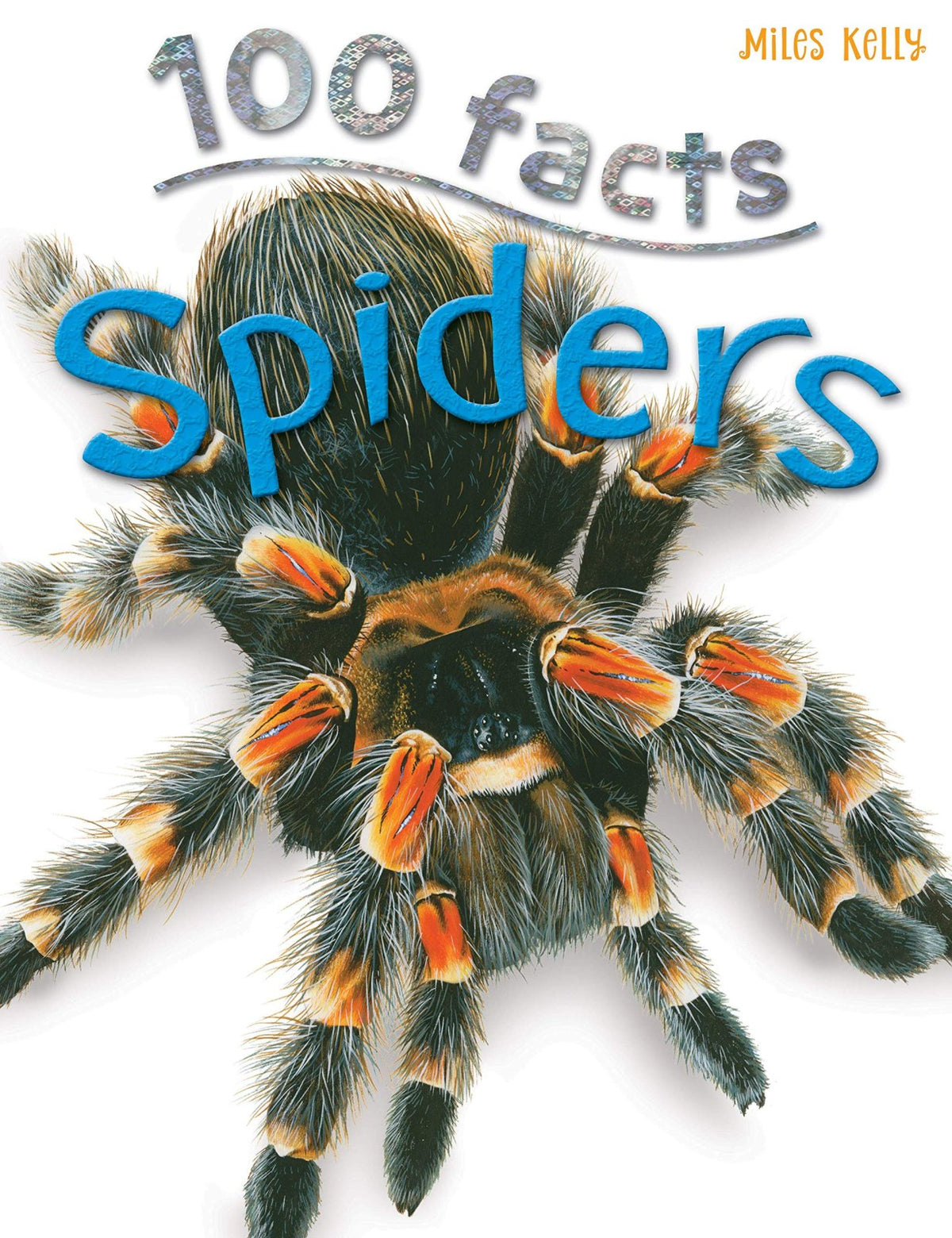 100 Facts Spiders – Bitesized Facts & Awesome Images to Support KS2 Learning