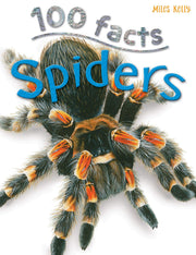 100 Facts Spiders – Bitesized Facts & Awesome Images to Support KS2 Learning